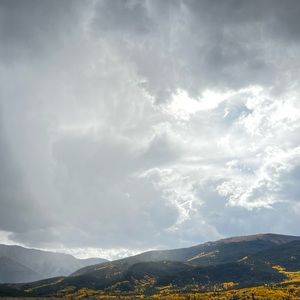 Meet your Posher, Abigail